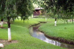 Garden Water